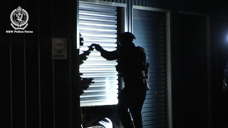 NSW police dismantle major child abuse network, 62 arrested